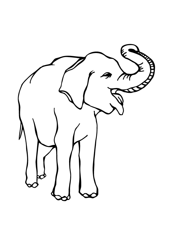 デザイン一覧 クラスtシャツ